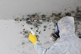 Best Forensic Mold Investigation  in Syracuse, NE